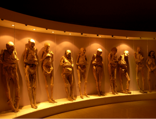 Image of El Museo in SoundHaus
