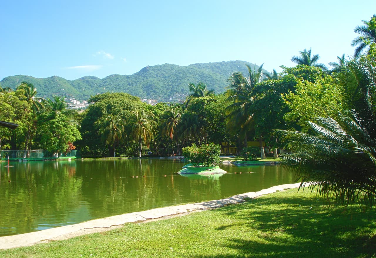 Imagen de Apreciando la cultura de Parque Papagayo por Soundhaus